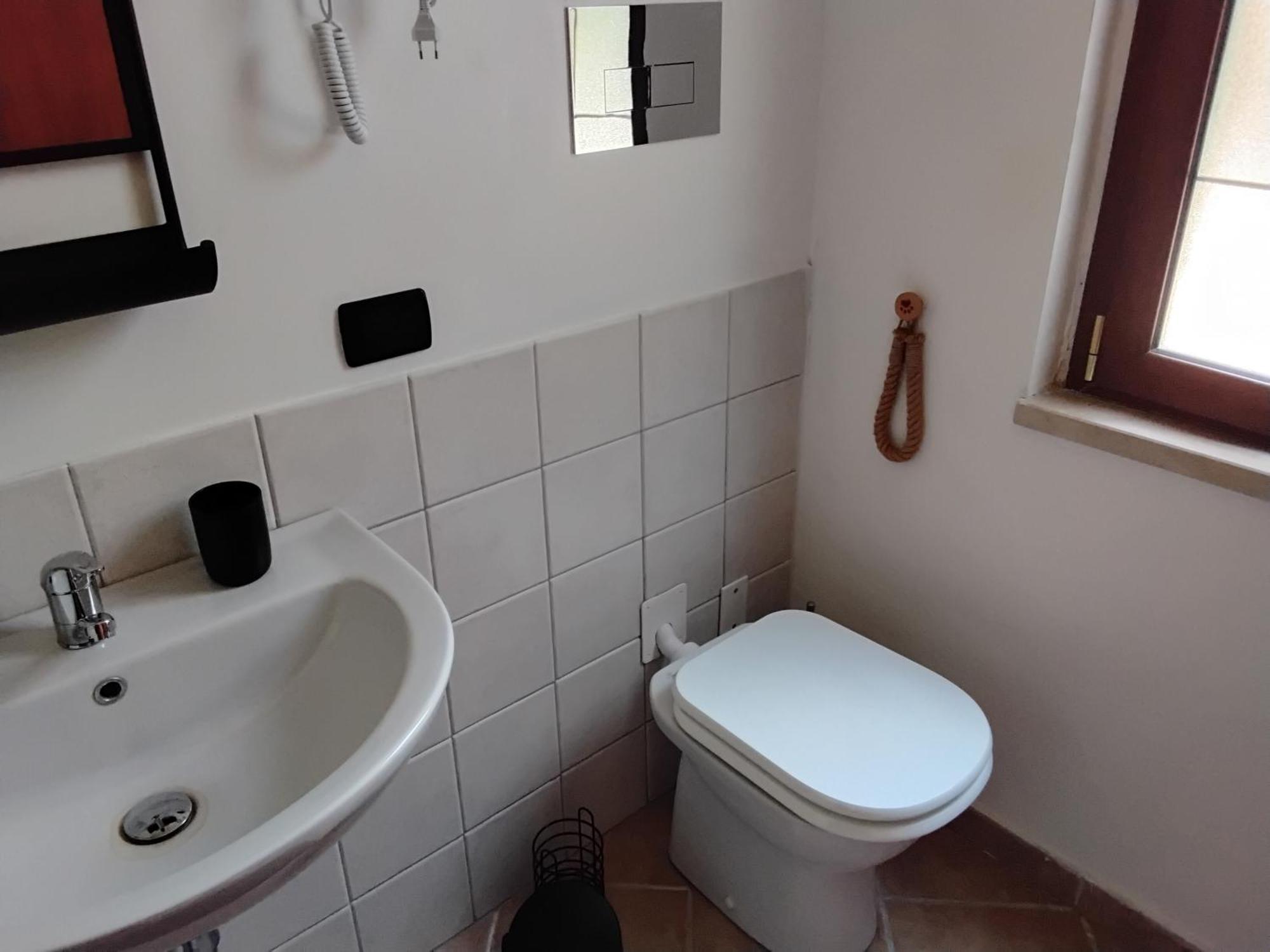 L'oasi